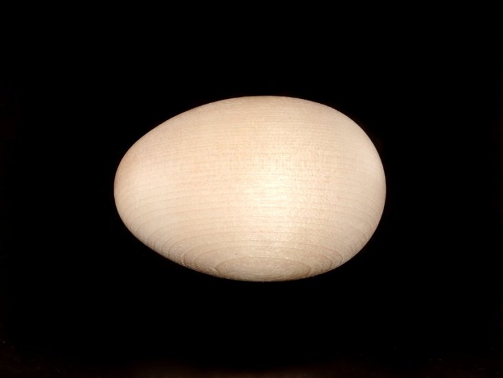 Wood Chicken Egg - Super Realistic Egg Shape!