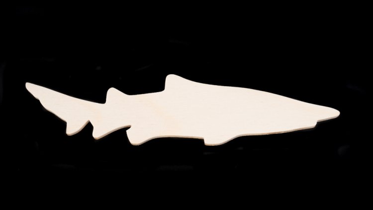 Wood Shark Cutout Shape - Hand Cut Plywood