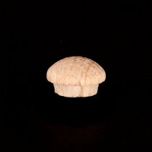3/8" Red Oak Wood Mushroom Head Furniture Button